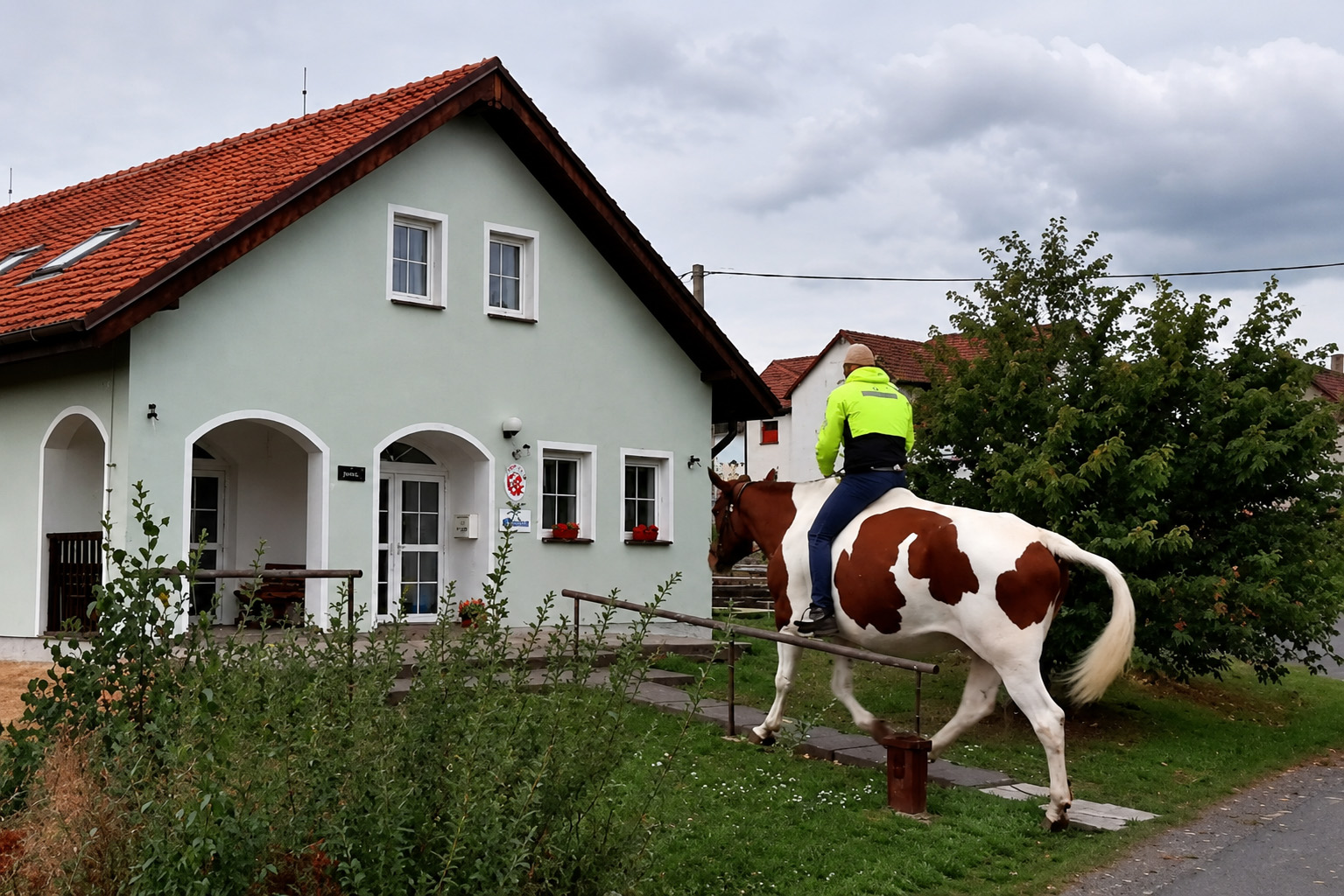 krava